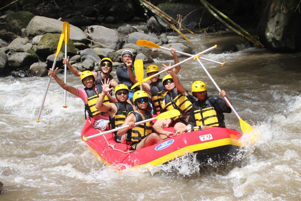 Ubud Water Rafting, Rice Terrace, Waterfall Tour All Included