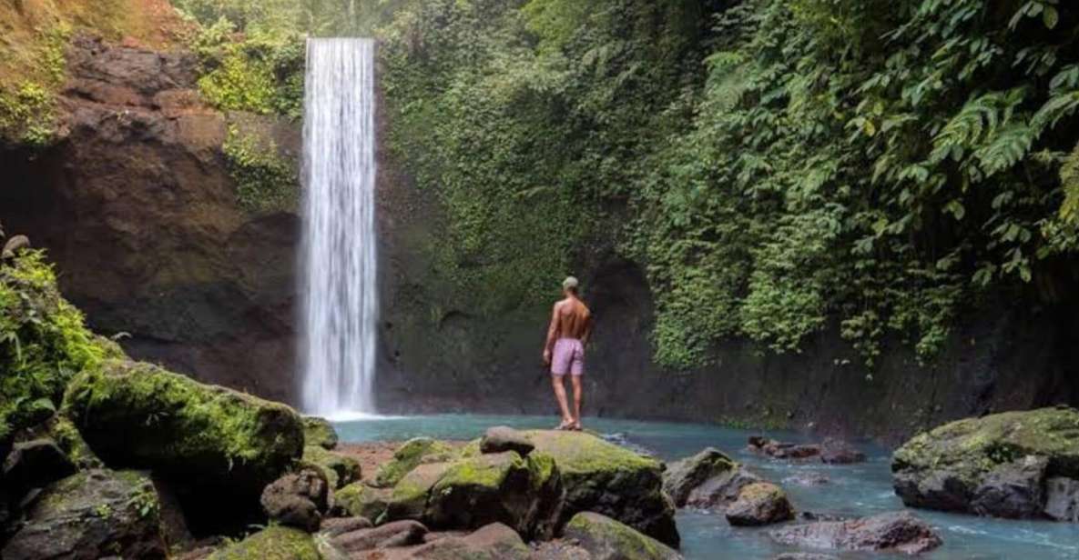 Ubud: Waterfalls, Water Temple, & Rice Terraces Private Tour - Tegalalang Rice Terrace