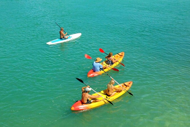 Ultimate Key West Kayak Eco-Tour: Mangrove And Sandbar Adventure