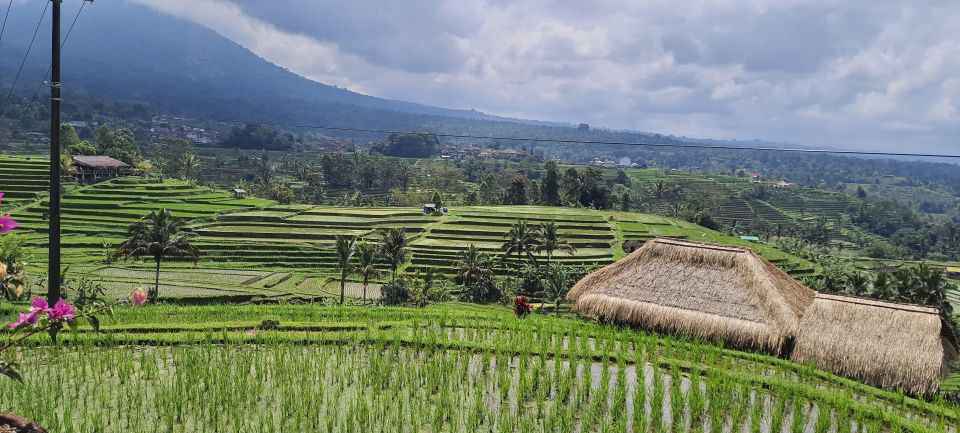 Ulundanu Beratan Temple, Jatiluwih Rice Terrace, and Tanah Lot