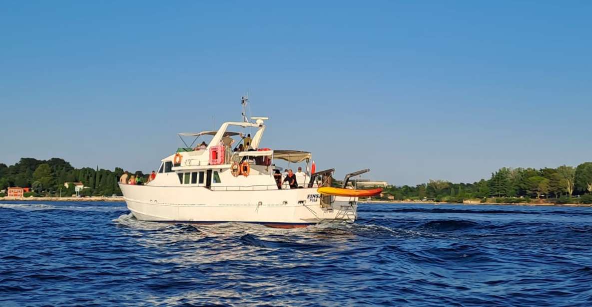 Umag: Sunset Cruise With Dolphin Spotting - Activity Overview