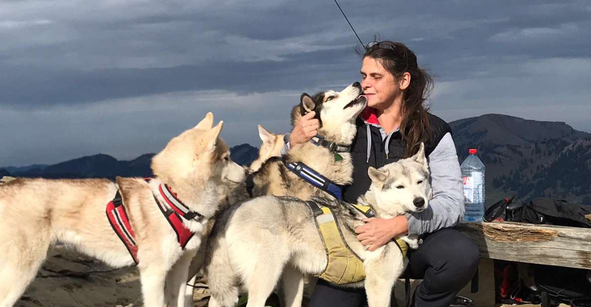 Underallgäu: Wiedergeltingen Guided Hike With Huskies