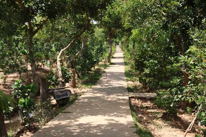 Upper Mekong River Day Trip From Ho Chi Minh City