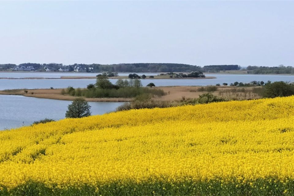 Usedom: Nature Park Tour