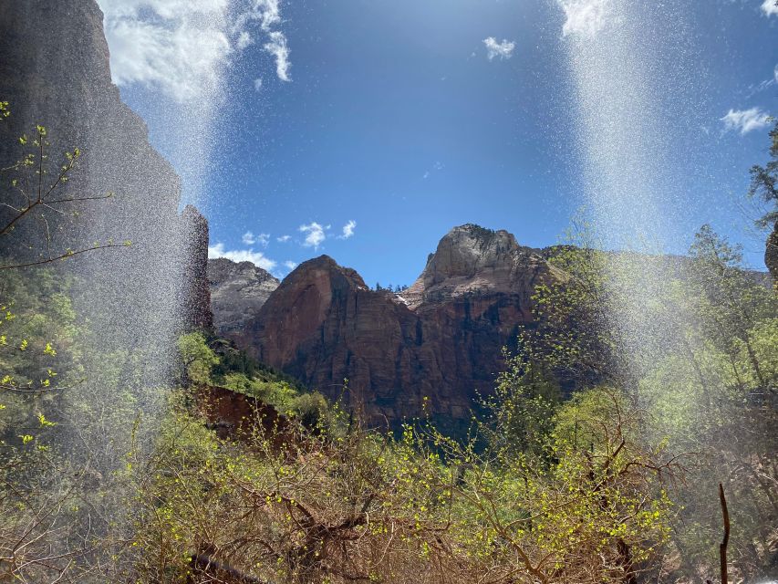 Utah: Zion National Park Half-Day Hike With Picnic