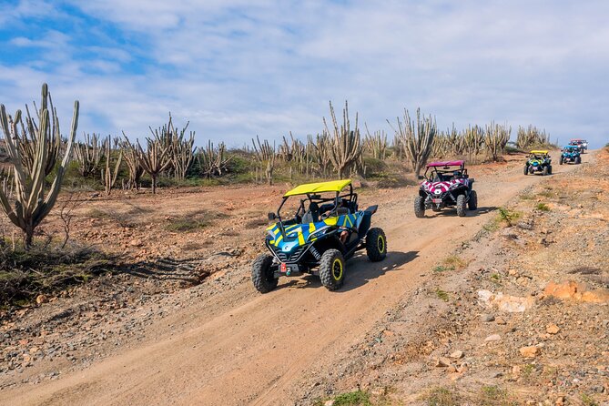 UTV Expedition: Discovering Arubas Hidden Wonders