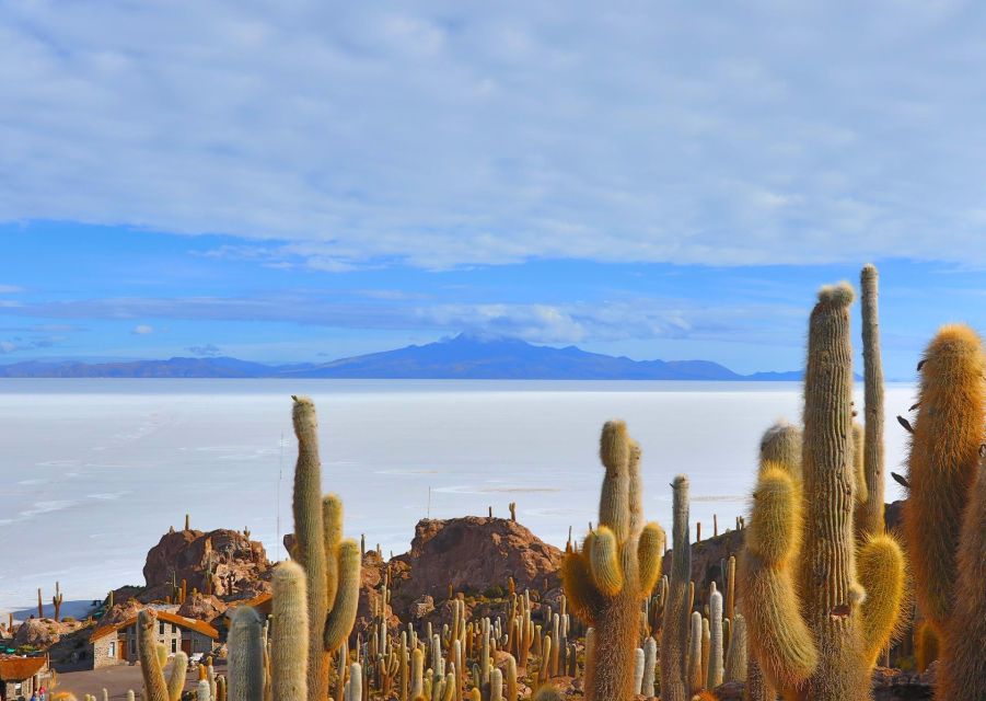 Uyuni: Salt Flats and Sunset Guided Tour With Lunch