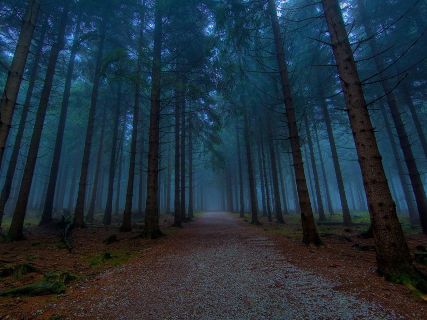 Valle De Bravo: a Magical Night in the Forest