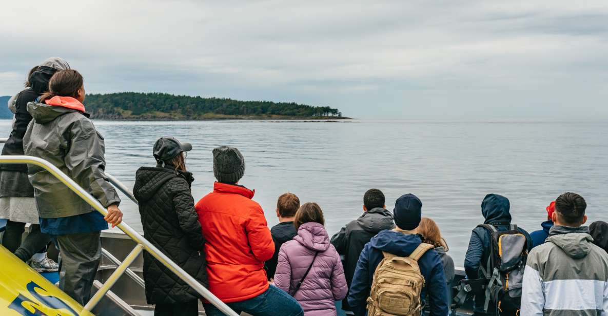 Vancouver, BC: Whale Watching Tour