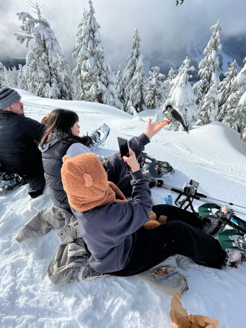 Vancouver: North Shore Mountains Snowshoeing With Transfer