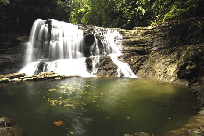 Veragua Rainforest and Tortuguero Canals Shore Excursion