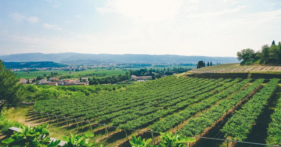 Verona: Amarone Countryside E-Bike Tour and Wine Tasting