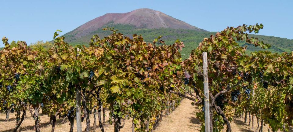 Vesuvius: Mt. Vesuvius Summit and Wine Tasting Tour