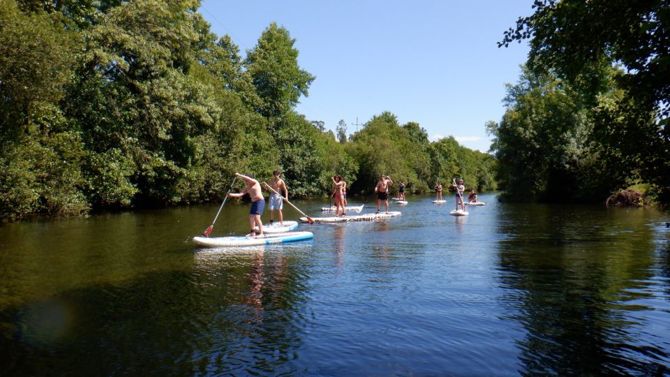 Viana Do Castelo: Vez River SUP With Transfer Options