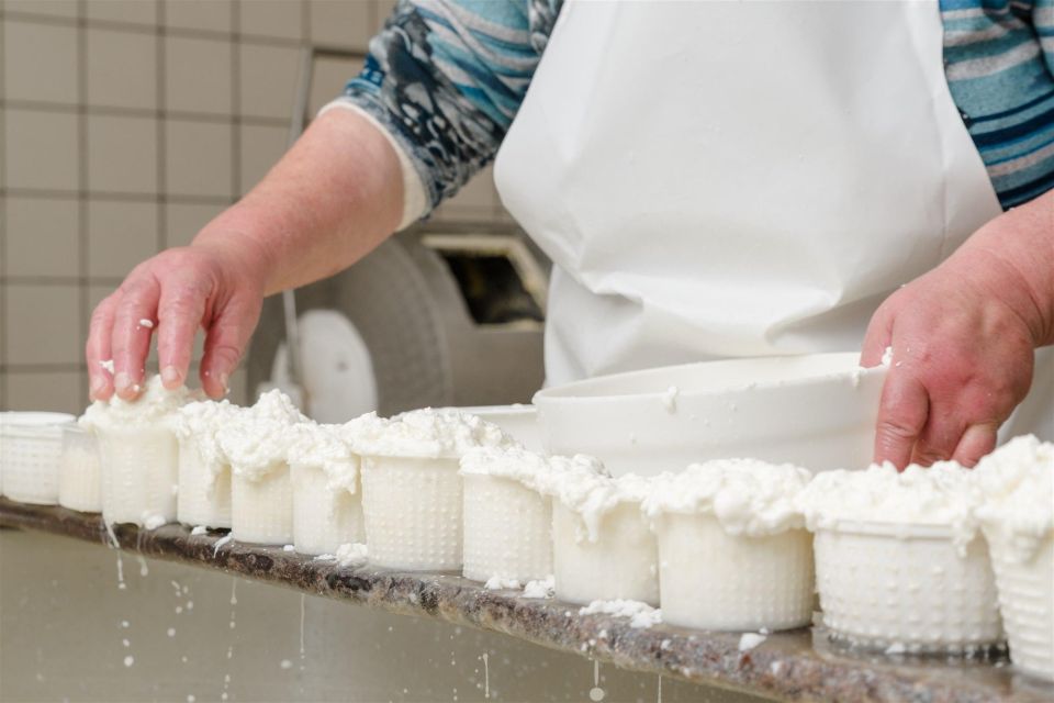 Vico Equense: Tour in the Dairy Mozzarella Experience - Overview of the Experience