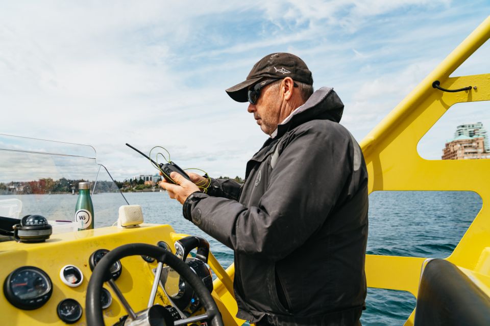 Victoria: 3-Hour Whale Watching Tour in a Zodiac Boat - Overview of the Tour
