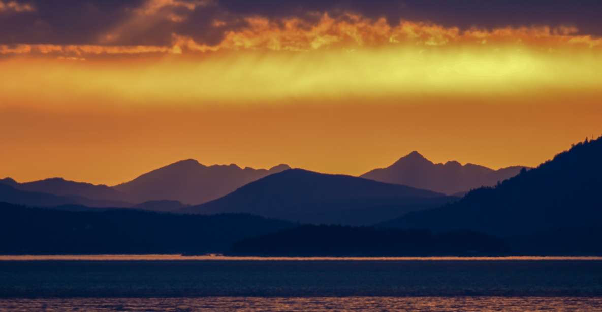 Victoria: Sunset Whale Watching Tour on Semi-Covered Boat