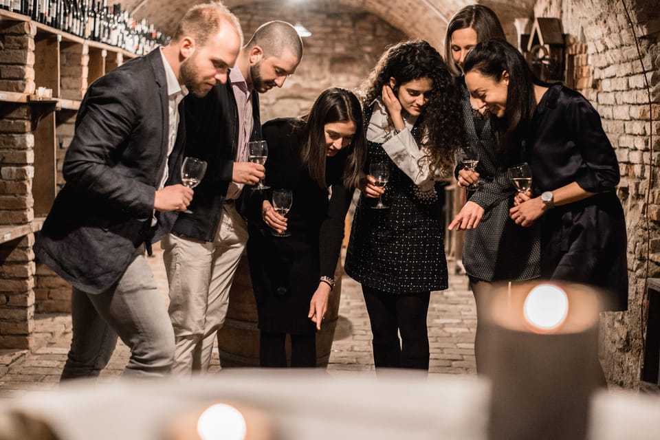 Vienna: Historical Wine Cellar Guided Tour