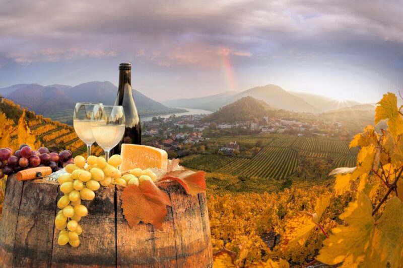 Vienna: Melk, Wachau Wine, Lower Austria Day Trip by Car - Overview of the Day Trip