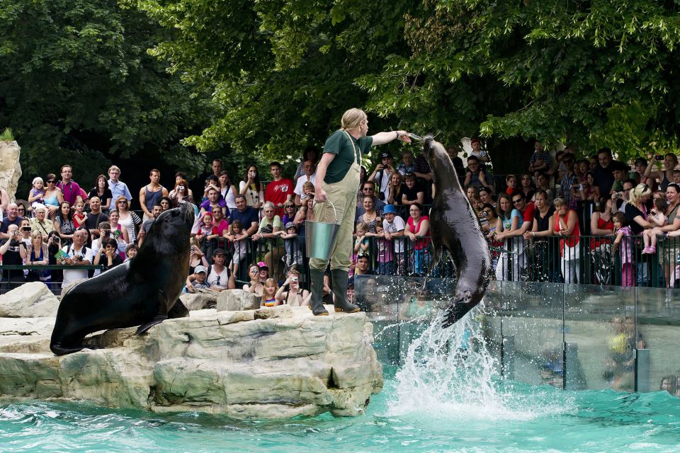 Vienna: Skip-the-line Tickets for Schönbrunn Zoo