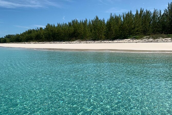 7 Best Fishing Tours In New Providence Island