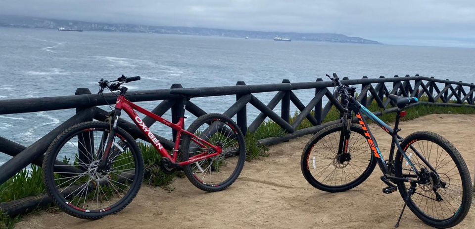 Viña Del Mar: Coastal Bike Tour