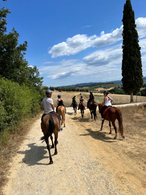 Vinci: Horseback Riding Meditation Experience