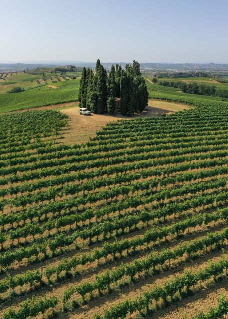 Vinci: Wine-Experience Among the Tuscan Hills