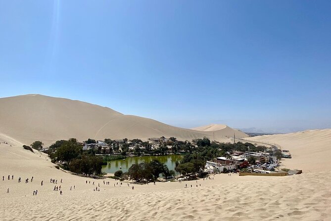 Vineyard & Buggy Tour in Huacachina / 1 Day Tour From Lima - Tour Overview