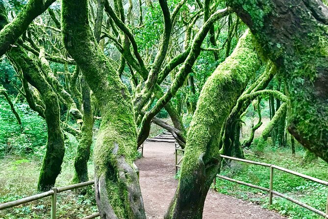 VIP Route Through La Gomera