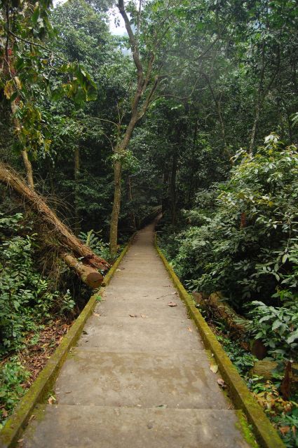 Visit Cuc Phuong National Park: Day Trip From Ha Noi