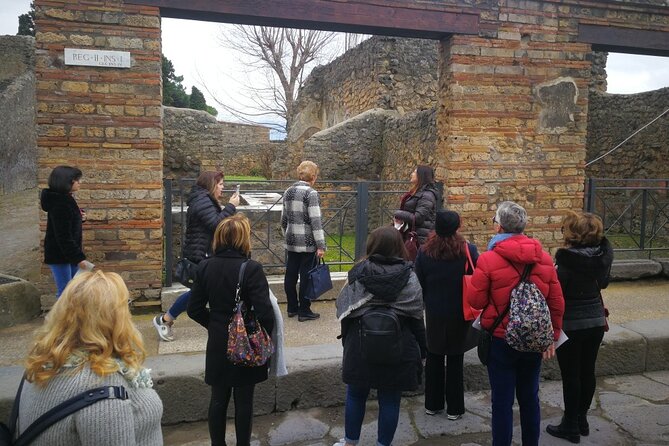 Visit Pompeii With an Expert Professional Guide (2/3 Hours)