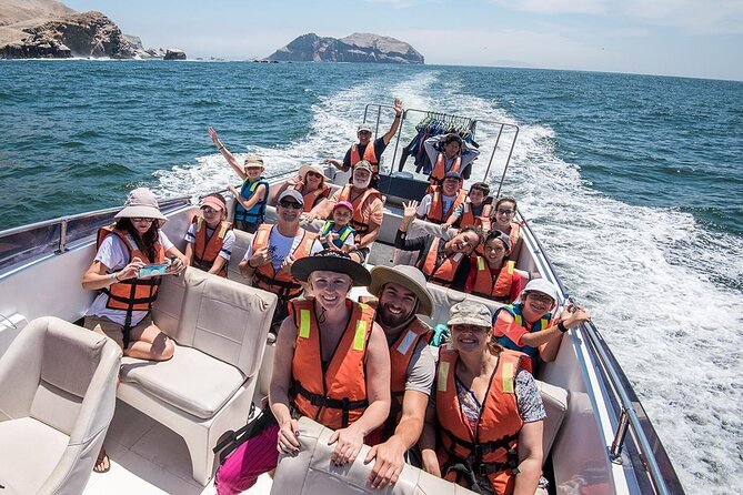 Visit the Sea Lions in Palomino Islands, in Lima Peru