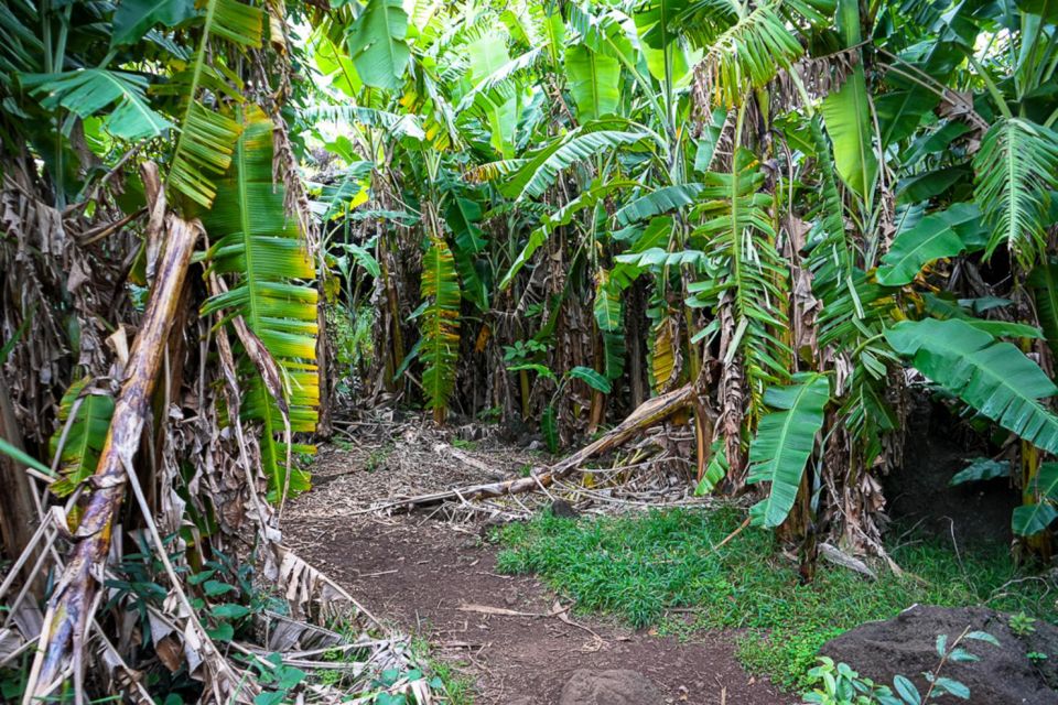 Volcanic Refuges: Excursion to Underground Civilization - Overview of the Tour