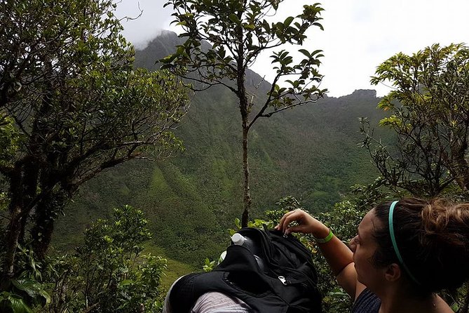 Volcano Crater Hiking Tour in St Kitts