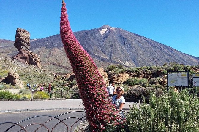 Volcano Teide – Masca Ravine. Guided Tour From Puerto De La Cruz – Tenerife