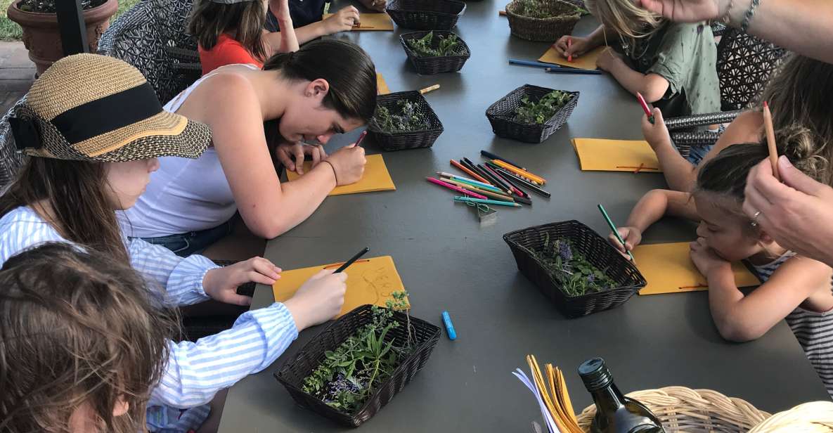 Volterra: Family-Friendly Herbal Laboratory Workshop - Overview of the Workshop