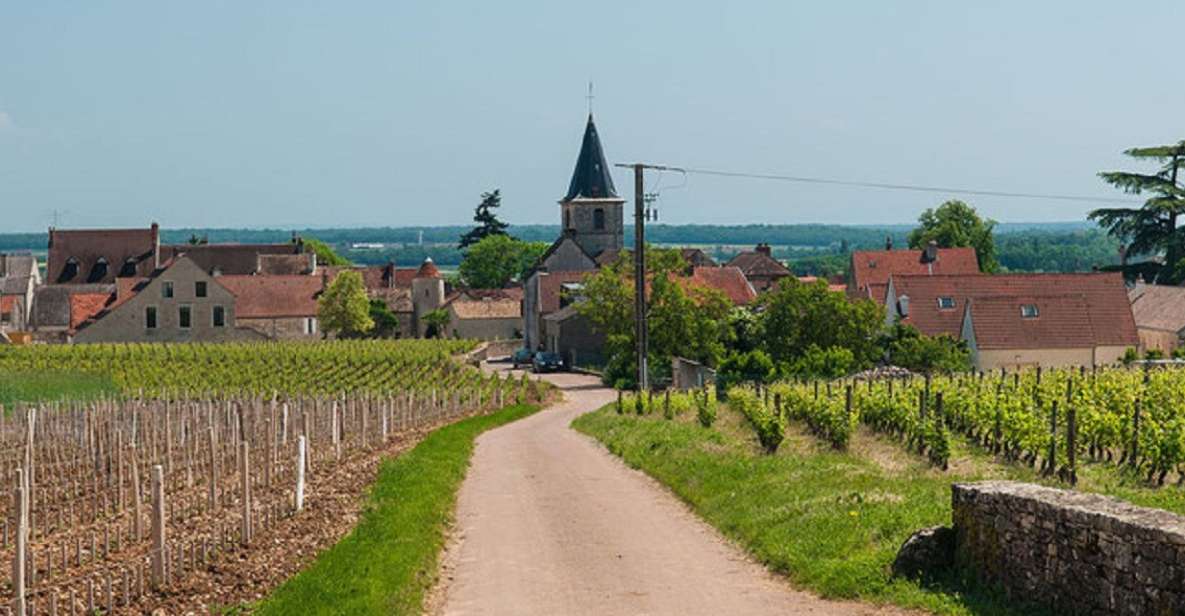 Vosne-Romanée: Private Vineyards Walking Tour With Tasting