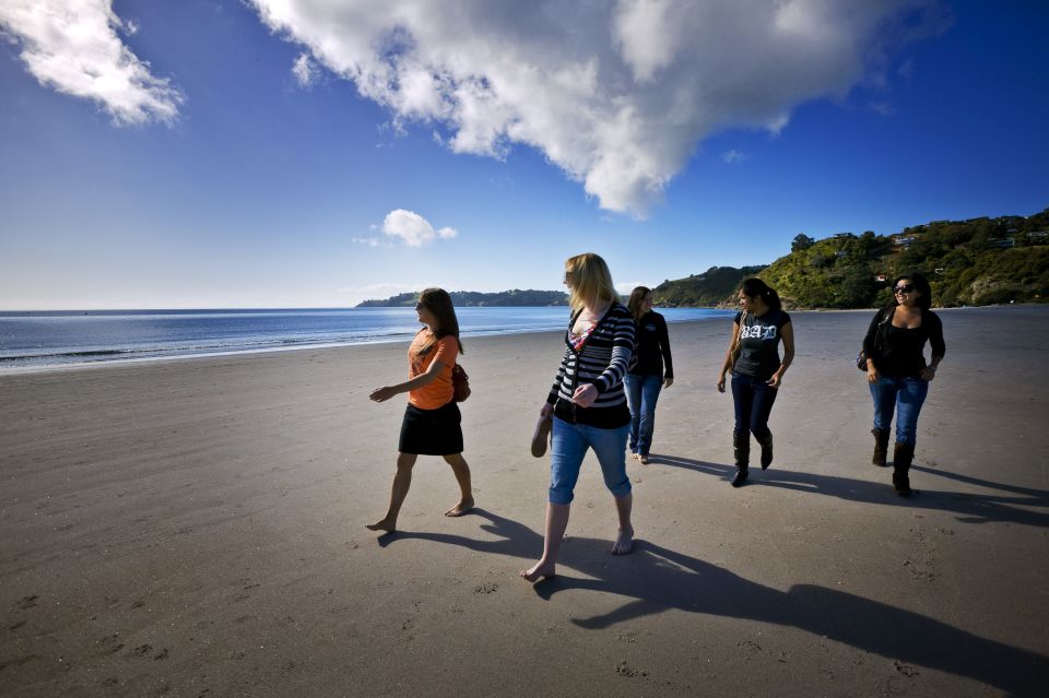 Waiheke Island: Ferry & Hop-On Hop-Off Explorer Bus Tickets