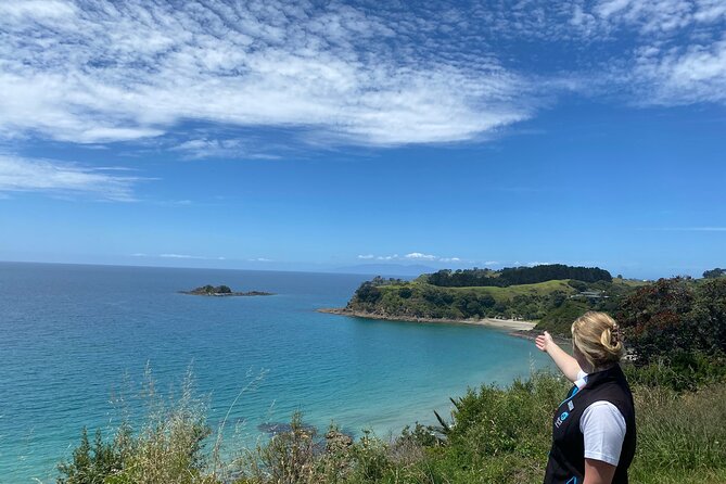 Waiheke Island Half Day Scenic Wine and Lunch