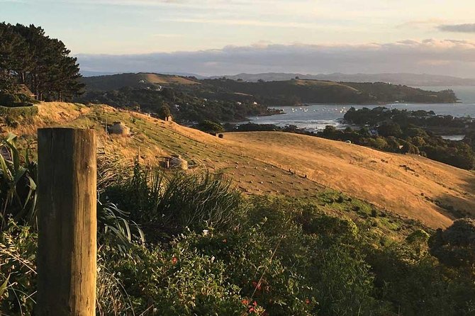 Waiheke Island Private Guided Te Ara Hura Walk