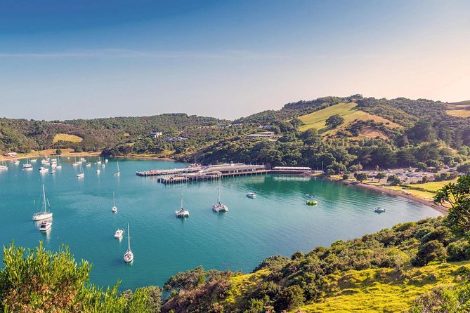 Waiheke Island Private Luxury Experience - Private Tour Details