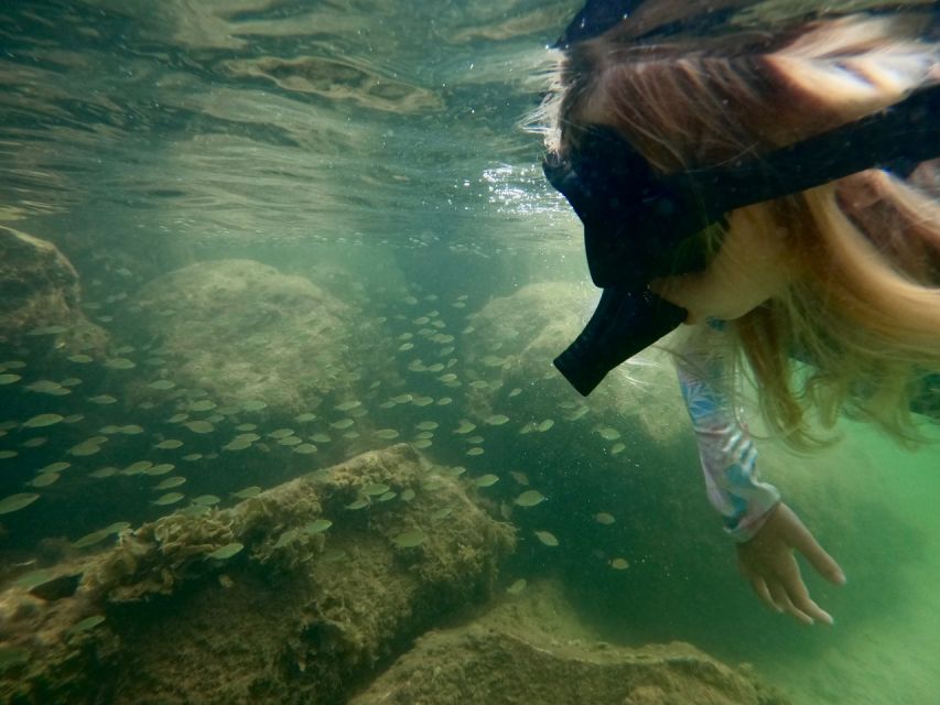 Waikiki: Honolulu Beginner Snorkeling Tour With Videos