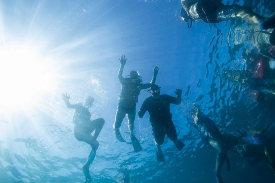 Waikiki: Snorkel Tour With Hawaiian Green Sea Turtles - Explore Vibrant Coral Reefs