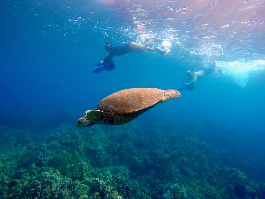 Wailea Beach: Guided Sea Scooter Snorkeling Tour