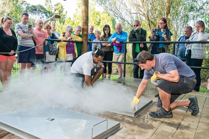 Waitangi Treaty Grounds: Combo Pass (Hāngī + Concert + Admission)