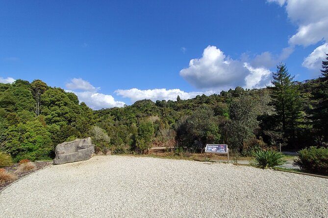 Waitomo Glowworm & Ruakuri Twin Cave Experience – Small Group Tour From Auckland