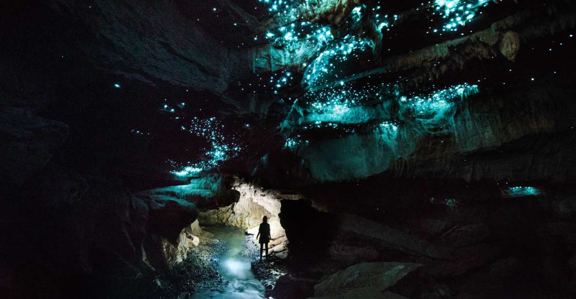 Waitomo: Guided Eco-Cave Tour - Tour Details