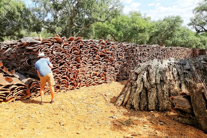 Walk on the Alentejo Cork Forest With Optional Lunch