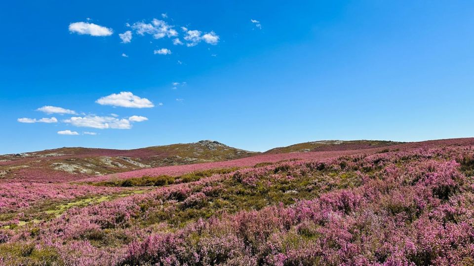 Walk & Picnic Peneda-Gerês National Park – Guided